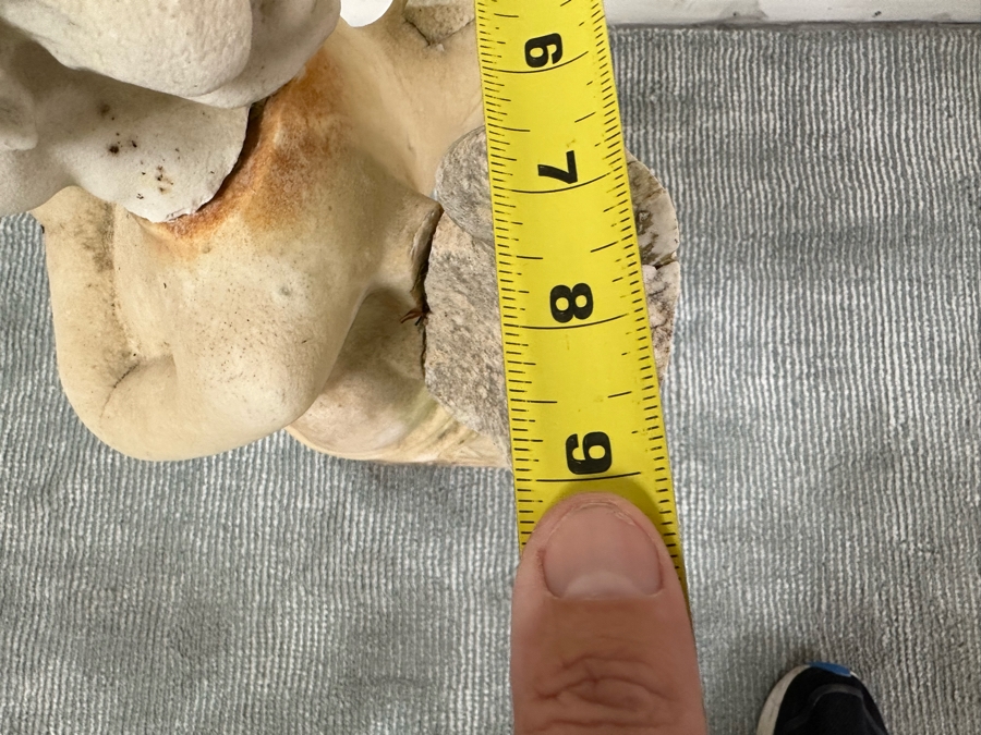 Vintage Carved Stone Cherub Angel Garden Statuary With Broken Wings - See Photos 9W X 10D X 25H [Photo 17]