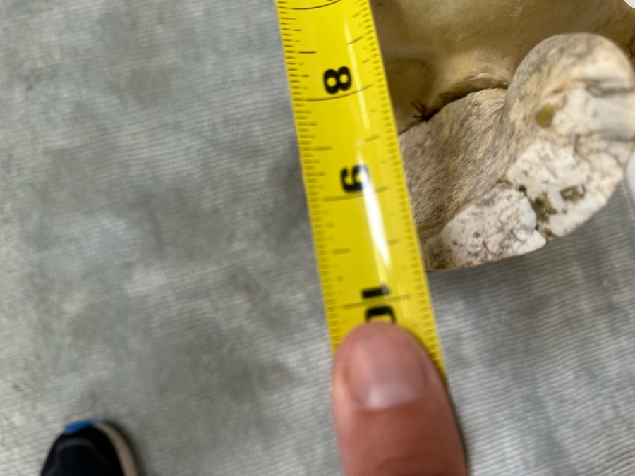 Vintage Carved Stone Cherub Angel Garden Statuary With Broken Wings - See Photos 9W X 10D X 25H [Photo 18]