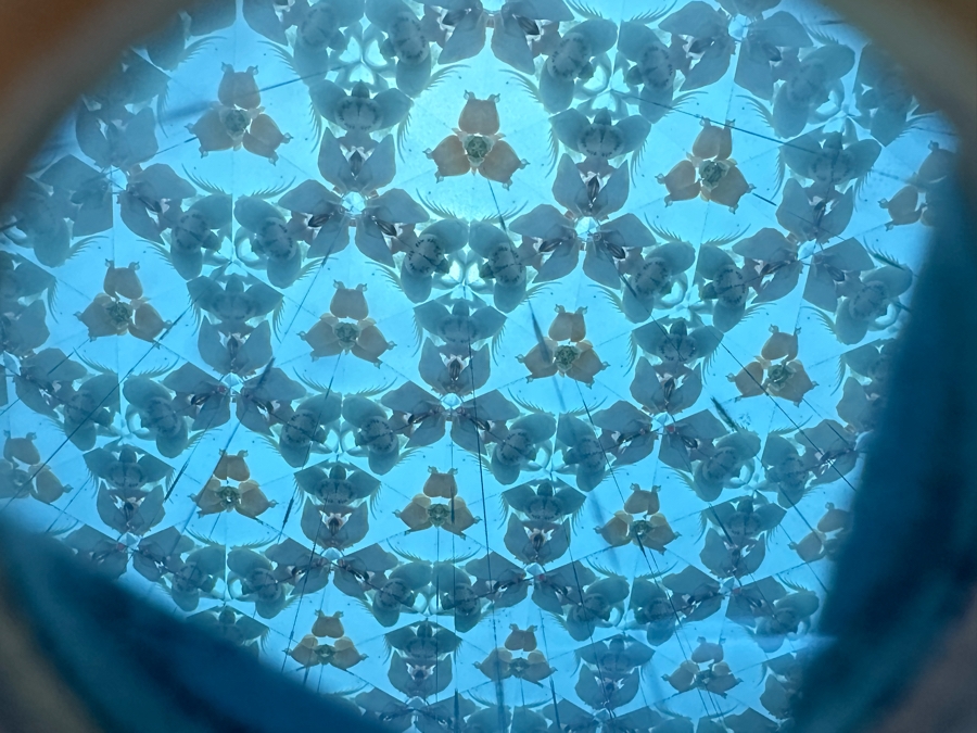 Signed Custom Kaleidoscope 3 X 13 [Photo 10]