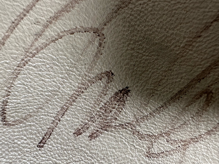 Original Planet Hollywood South Coast Plaza Leather Jacket Designed By Tony Nowak - Sleeve Hand Signed By Arnold Schwarzenegger Size XL [Photo 13]