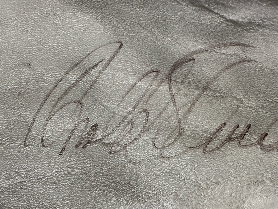 Original Planet Hollywood South Coast Plaza Leather Jacket Designed By Tony Nowak - Sleeve Hand Signed By Arnold Schwarzenegger Size XL [Photo 10]