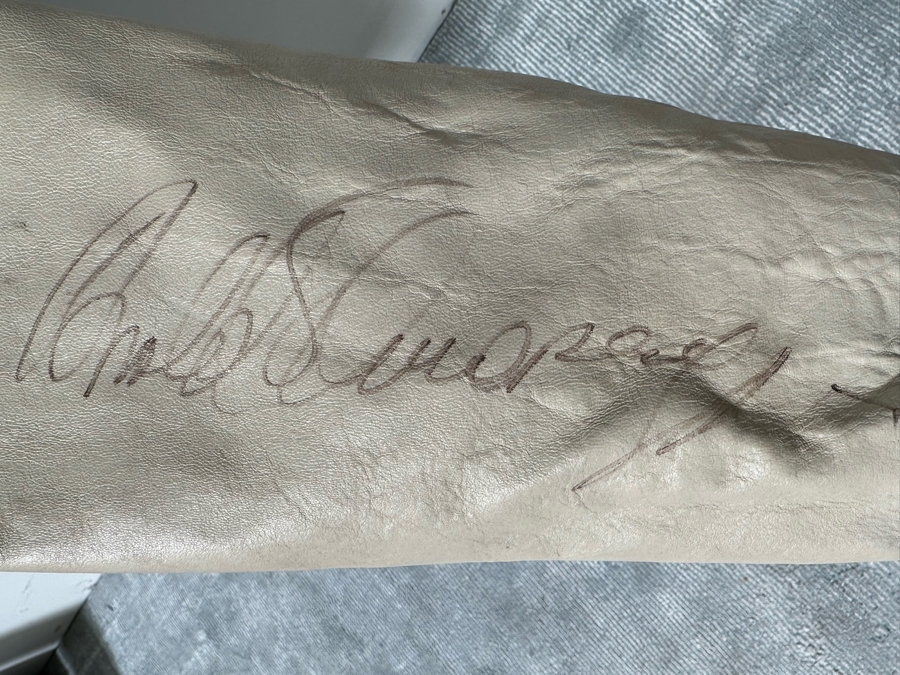 Original Planet Hollywood South Coast Plaza Leather Jacket Designed By Tony Nowak - Sleeve Hand Signed By Arnold Schwarzenegger Size XL [Photo 9]