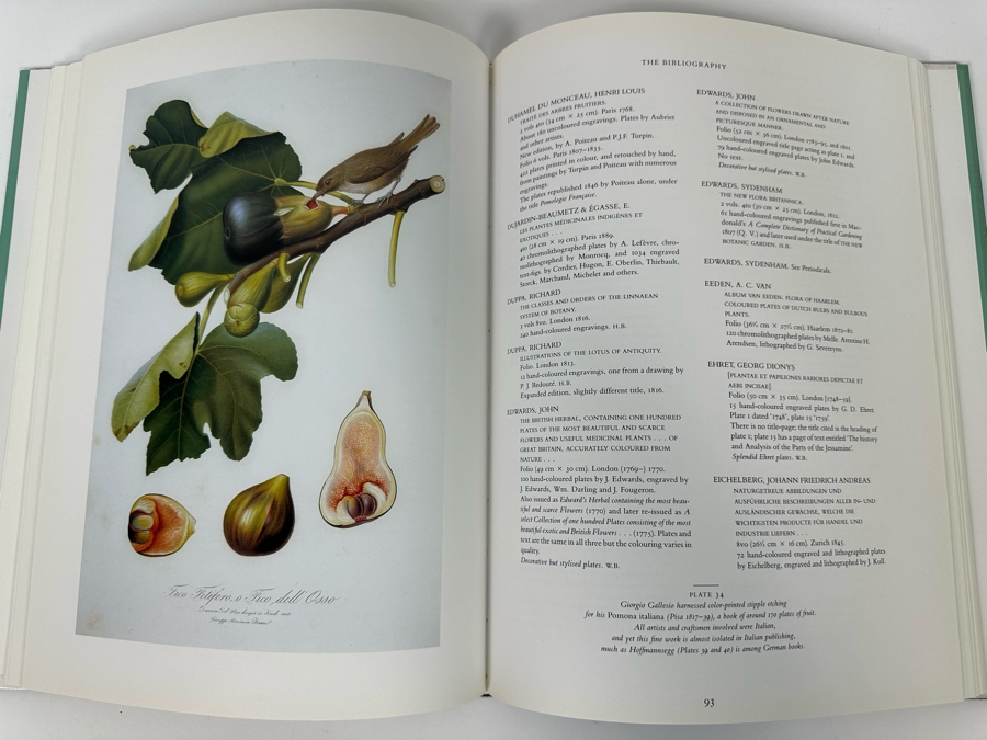 First Printing Book Great Flower Book 1700-1900 By Sacheverell Sitwell [Photo 8]