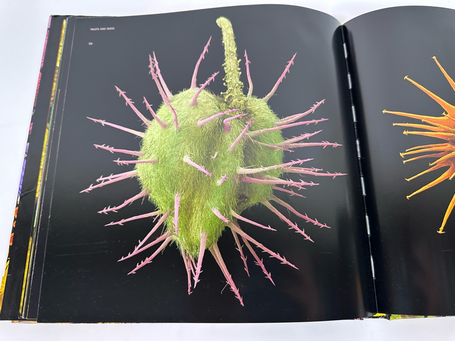 The Bizarre And Incredible World Of Plants Wolfgang Stuppy Book [Photo 7]