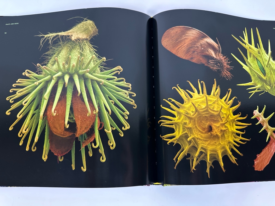 The Bizarre And Incredible World Of Plants Wolfgang Stuppy Book [Photo 6]