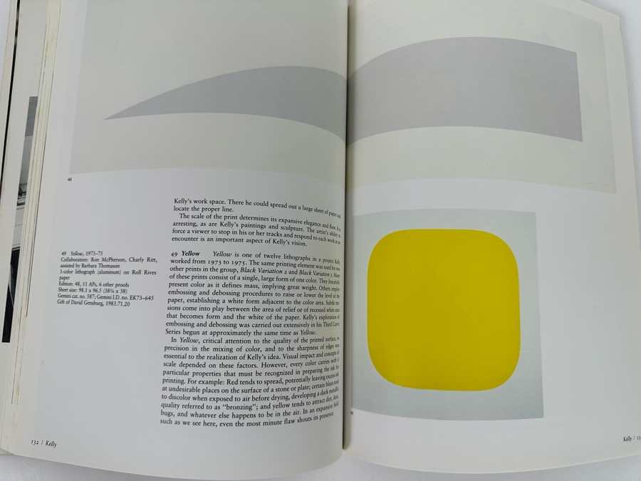 Gemini G.E.L. (Graphics Editions Limited) Art And Collaboration: A History Of The Unique Relationship Between Artist And The Gemini Workshop Book (Roy Lichtenstein, David Hockney, Ellsworth Kelly, Frank Stella) [Photo 11]