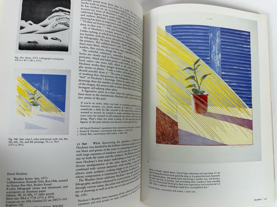 Gemini G.E.L. (Graphics Editions Limited) Art And Collaboration: A History Of The Unique Relationship Between Artist And The Gemini Workshop Book (Roy Lichtenstein, David Hockney, Ellsworth Kelly, Frank Stella) [Photo 10]
