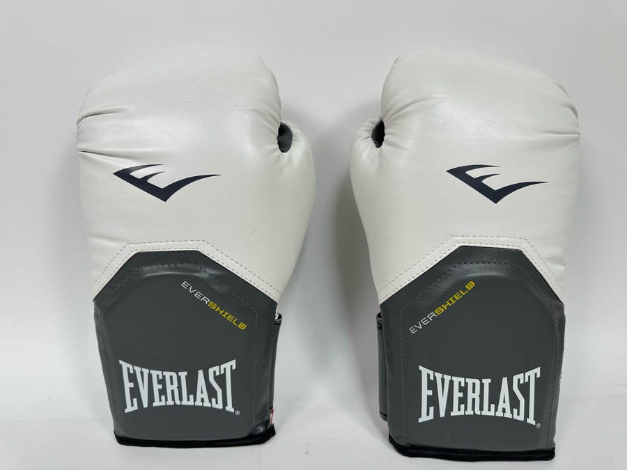 Everlast 12oz Boxing Gloves [Photo 3]