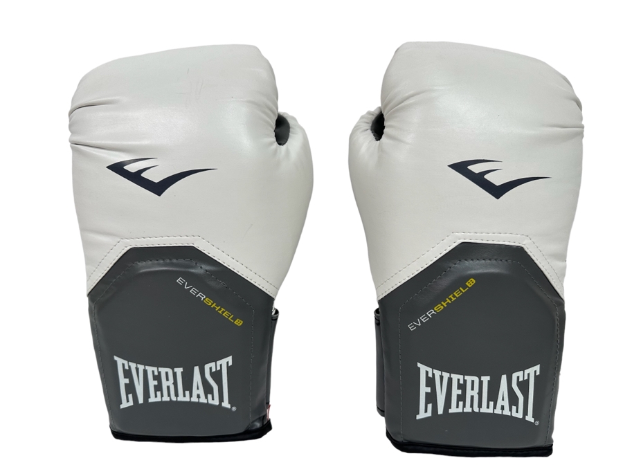 Everlast 12oz Boxing Gloves [Photo 1]