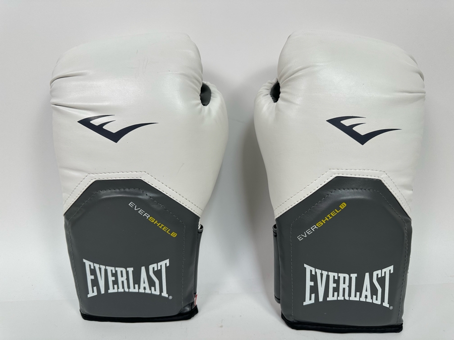 Everlast 12oz Boxing Gloves [Photo 2]