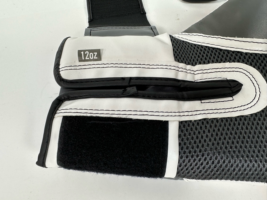 Everlast 12oz Boxing Gloves [Photo 5]