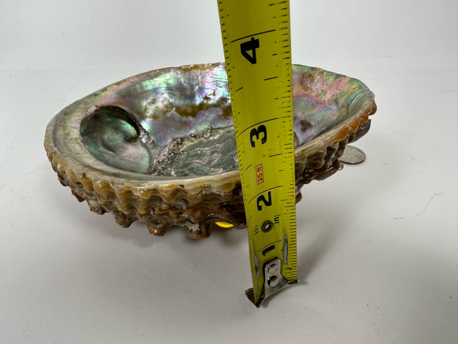 Organic Abalone Shell Footed Trinket Dish 7W X 5.5D X 2.5H [Photo 9]