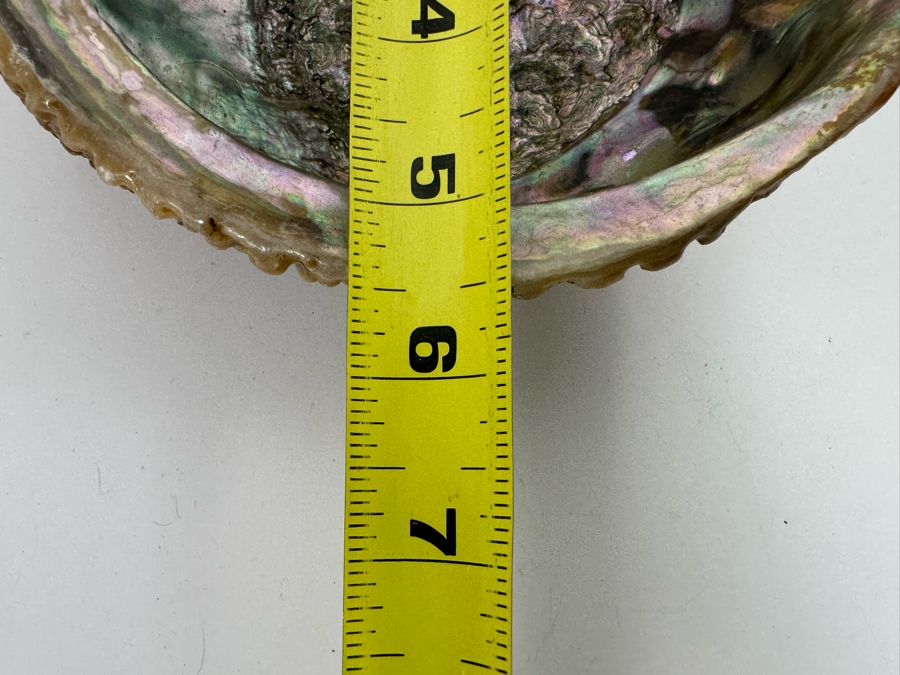 Organic Abalone Shell Footed Trinket Dish 7W X 5.5D X 2.5H [Photo 8]