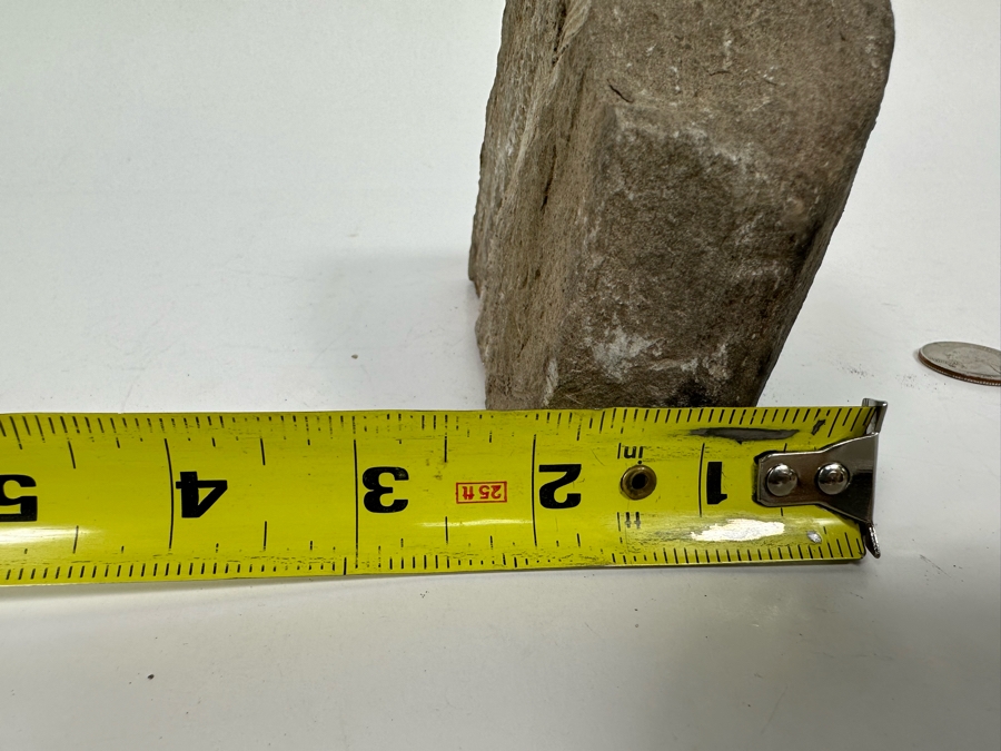 Fossilized Fish 5W X 2D X 3H [Photo 11]