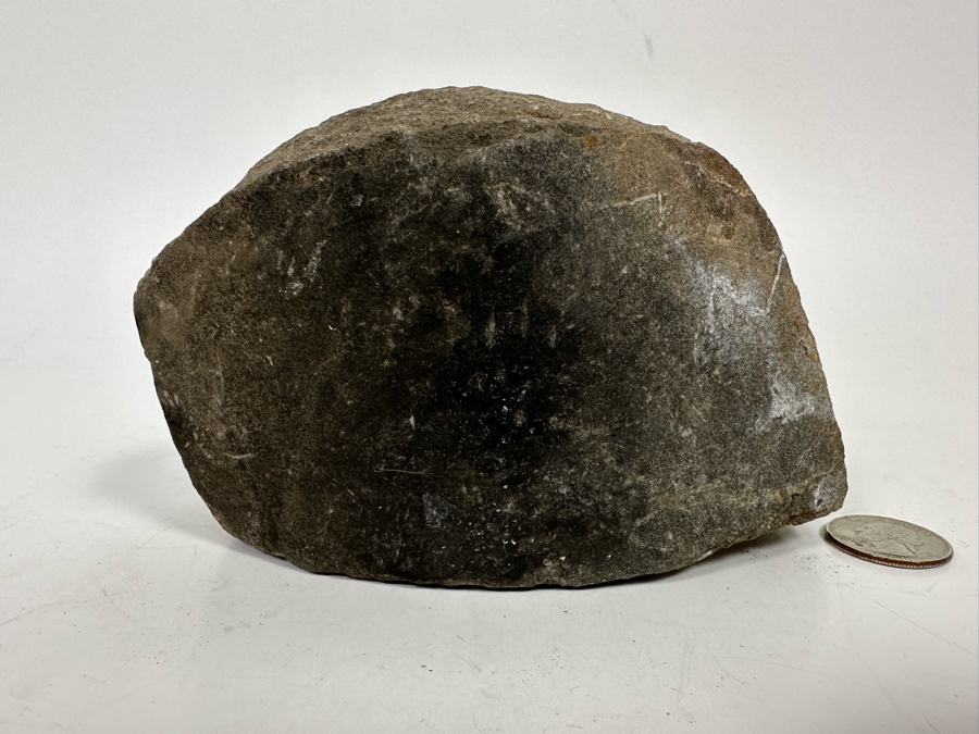 Fossilized Fish 5W X 2D X 3H [Photo 7]