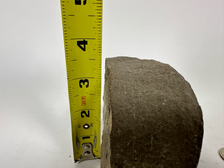 Fossilized Fish 5W X 2D X 3H [Photo 12]