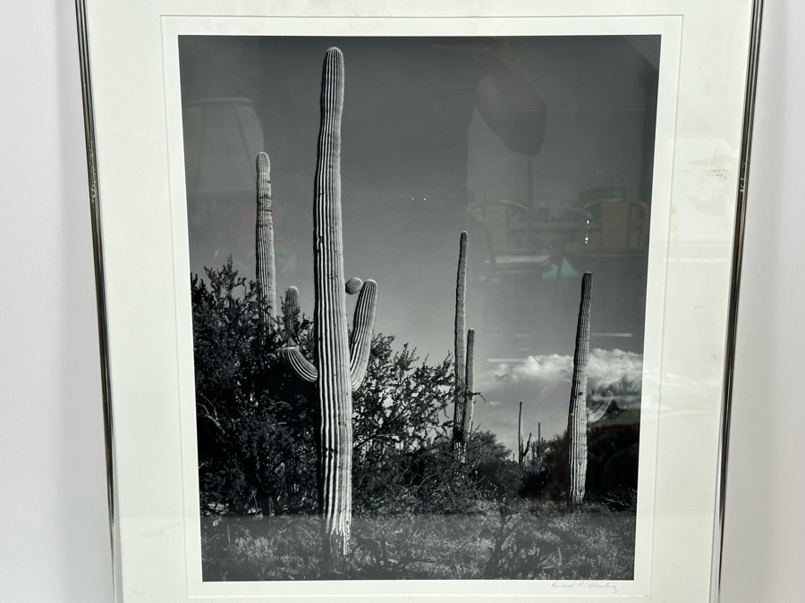 Richard D. Keesling Signed Photograph Of Saguaro Cactus (Dick Keesling Was Also Actress Betty White's Manager For Many Decades) 20 X 17 Framed 28 X 22 Estimate $1,000-$1,200 [Photo 4]