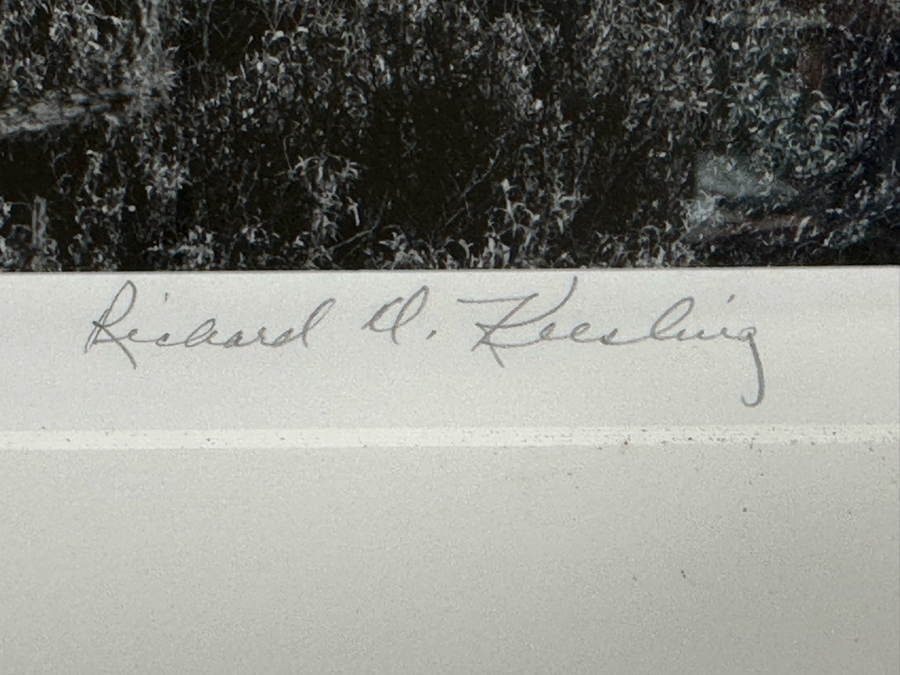 Richard D. Keesling Signed Photograph Of Saguaro Cactus (Dick Keesling Was Also Actress Betty White's Manager For Many Decades) 20 X 17 Framed 28 X 22 Estimate $1,000-$1,200 [Photo 7]