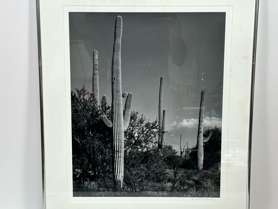 Richard D. Keesling Signed Photograph Of Saguaro Cactus (Dick Keesling Was Also Actress Betty White's Manager For Many Decades) 20 X 17 Framed 28 X 22 Estimate $1,000-$1,200 [Photo 5]