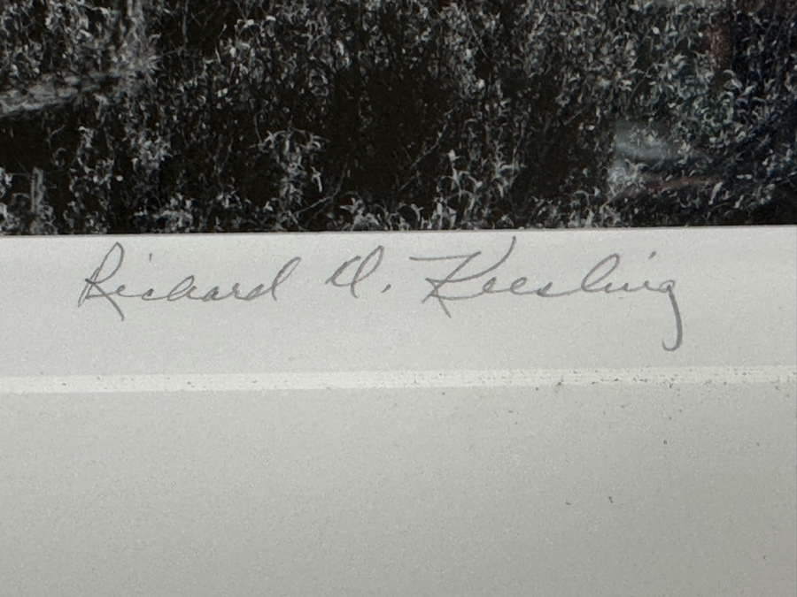 Richard D. Keesling Signed Photograph Of Saguaro Cactus (Dick Keesling Was Also Actress Betty White's Manager For Many Decades) 20 X 17 Framed 28 X 22 Estimate $1,000-$1,200 [Photo 6]