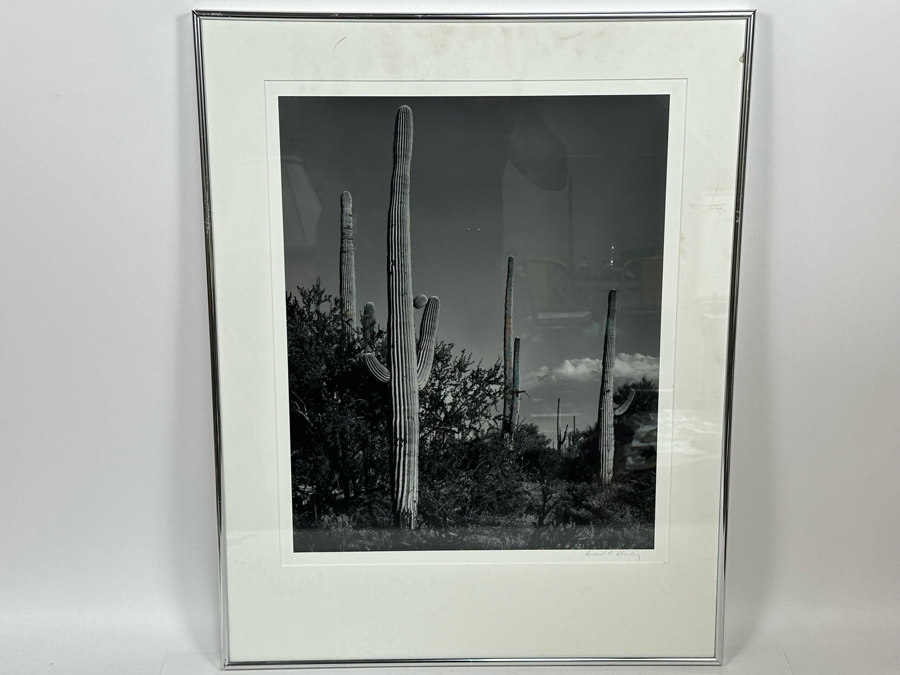 Richard D. Keesling Signed Photograph Of Saguaro Cactus (Dick Keesling Was Also Actress Betty White's Manager For Many Decades) 20 X 17 Framed 28 X 22 Estimate $1,000-$1,200 [Photo 3]