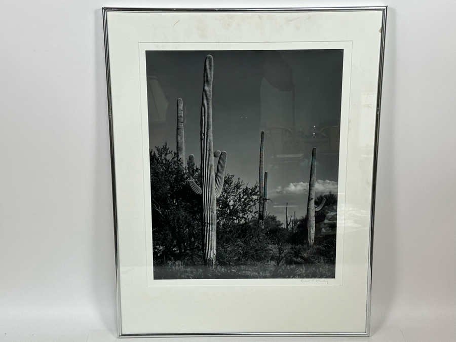 Richard D. Keesling Signed Photograph Of Saguaro Cactus (Dick Keesling Was Also Actress Betty White's Manager For Many Decades) 20 X 17 Framed 28 X 22 Estimate $1,000-$1,200 [Photo 2]
