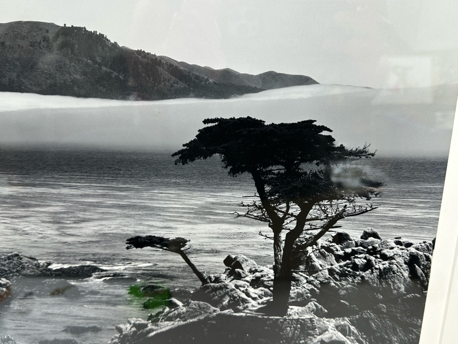 Richard D. Keesling Signed Photograph Of Carmel By The Sea Limited Edition 1 Of 10 (Dick Keesling Was Also Actress Betty White's Manager For Many Decades) 20 X 17 Framed 28 X 22 Estimate $1,000-$1,200 [Photo 9]