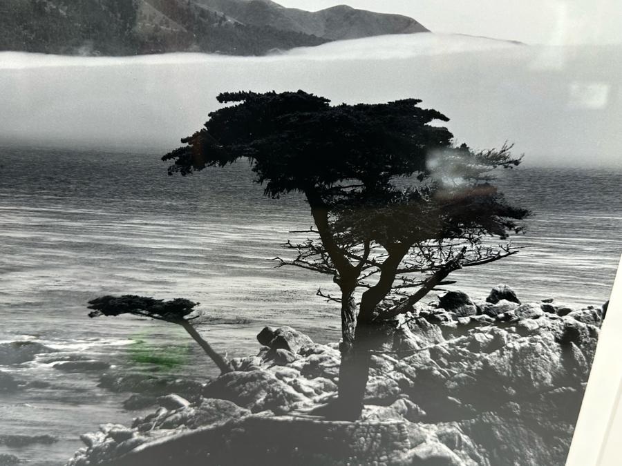 Richard D. Keesling Signed Photograph Of Carmel By The Sea Limited Edition 1 Of 10 (Dick Keesling Was Also Actress Betty White's Manager For Many Decades) 20 X 17 Framed 28 X 22 Estimate $1,000-$1,200 [Photo 10]