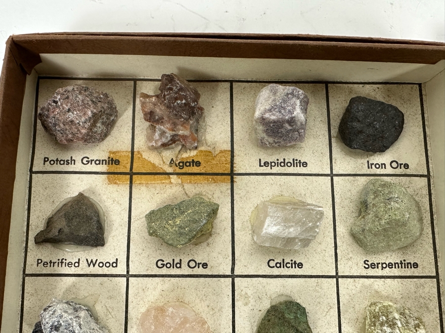 Pair Of Rocks And Minerals Cabinets Including Gold Ore, Petrified Wood, Copper Ore & Uranium Ore [Photo 3]