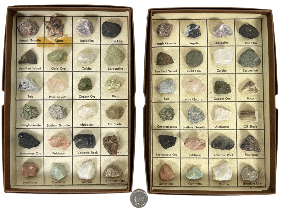 Pair Of Rocks And Minerals Cabinets Including Gold Ore, Petrified Wood ...