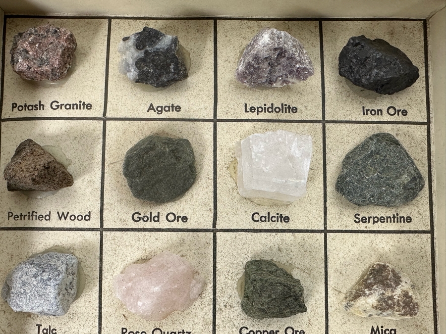 Pair Of Rocks And Minerals Cabinets Including Gold Ore, Petrified Wood, Copper Ore & Uranium Ore [Photo 8]