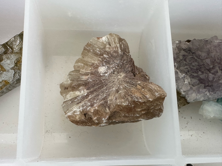 Various Rocks And Minerals Specimens [Photo 14]