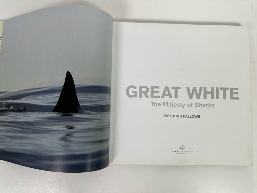 Great White The Majesty Of Sharks By Chris Fallows Hardcover Book Retails $50 [Photo 3]