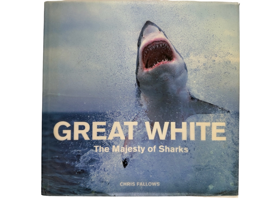 Great White The Majesty Of Sharks By Chris Fallows Hardcover Book Retails $50 [Photo 1]