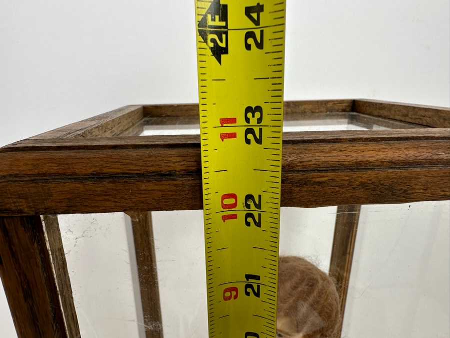 Vintage Western Doll With Protective Glass Case 10.5W X 10.5D X 22.5H [Photo 21]