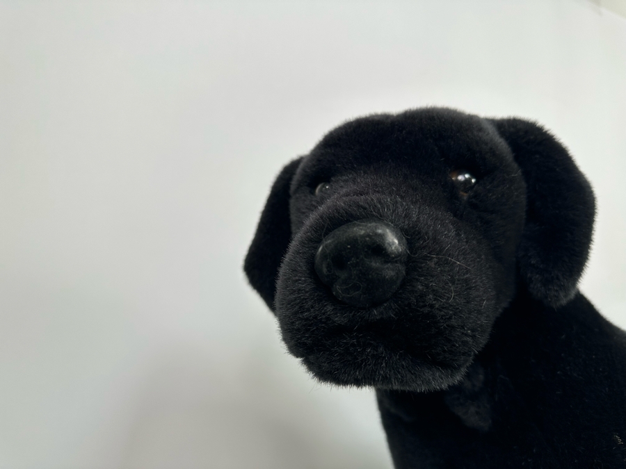 Lifelike Black Lab Plush By Melissa & Doug [Photo 5]