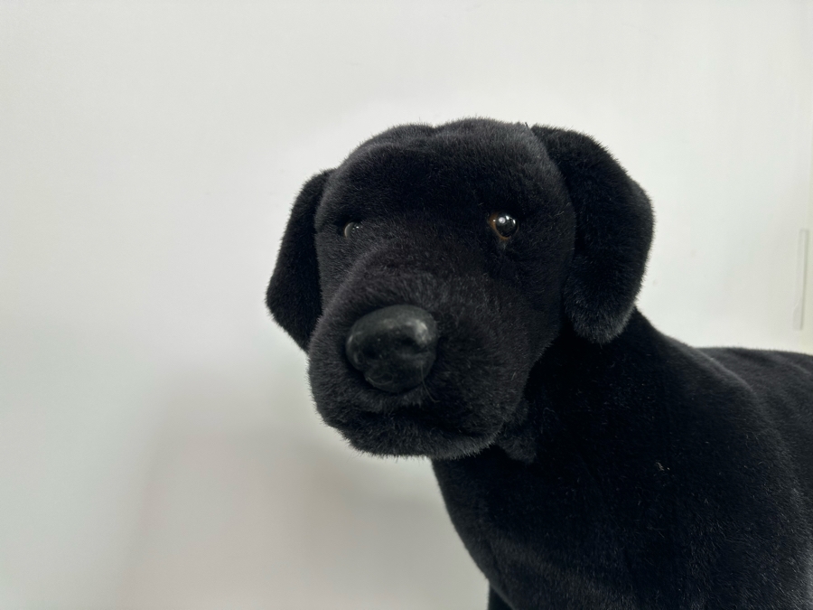 Lifelike Black Lab Plush By Melissa & Doug [Photo 6]