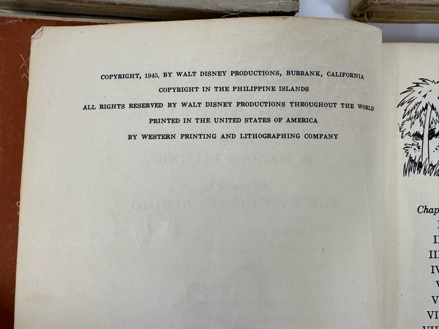 Collection Of 8 Walt Disney Books In Poor Condition [Photo 20]