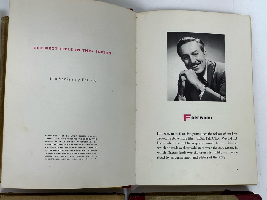 Collection Of 8 Walt Disney Books In Poor Condition [Photo 12]