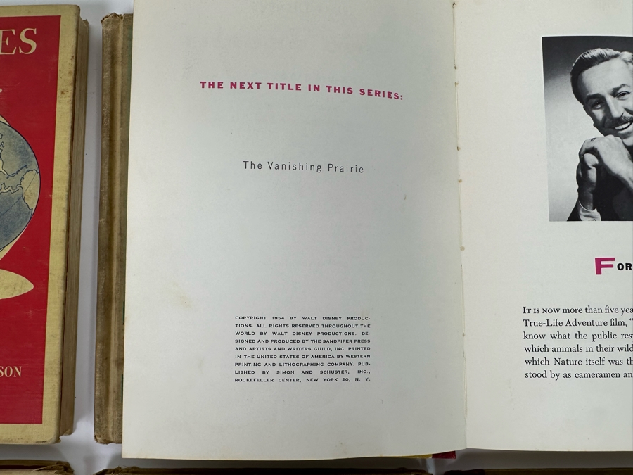 Collection Of 8 Walt Disney Books In Poor Condition [Photo 11]