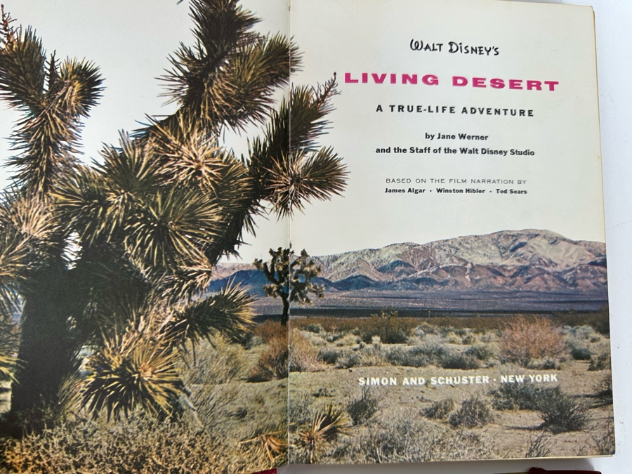 Collection Of 8 Walt Disney Books In Poor Condition [Photo 10]