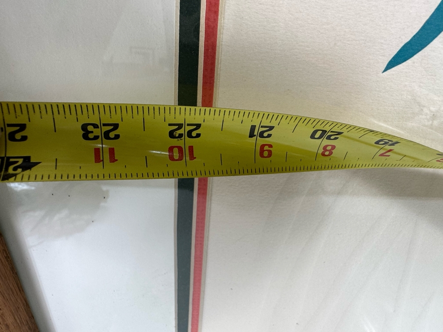 Jonna White Hand Signed Limited Edition Print Titled 'Parrots' 7 Of 500 22 X 34 Framed 31 X 43 [Photo 11]