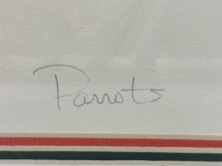 Jonna White Hand Signed Limited Edition Print Titled 'Parrots' 7 Of 500 22 X 34 Framed 31 X 43 [Photo 7]