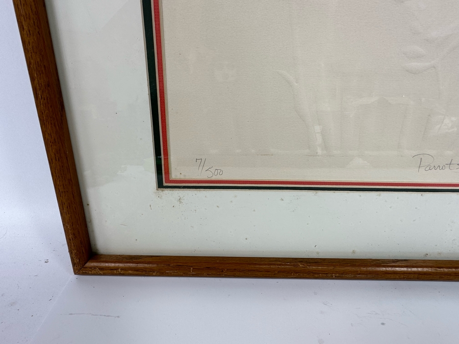 Jonna White Hand Signed Limited Edition Print Titled 'Parrots' 7 Of 500 22 X 34 Framed 31 X 43 [Photo 10]