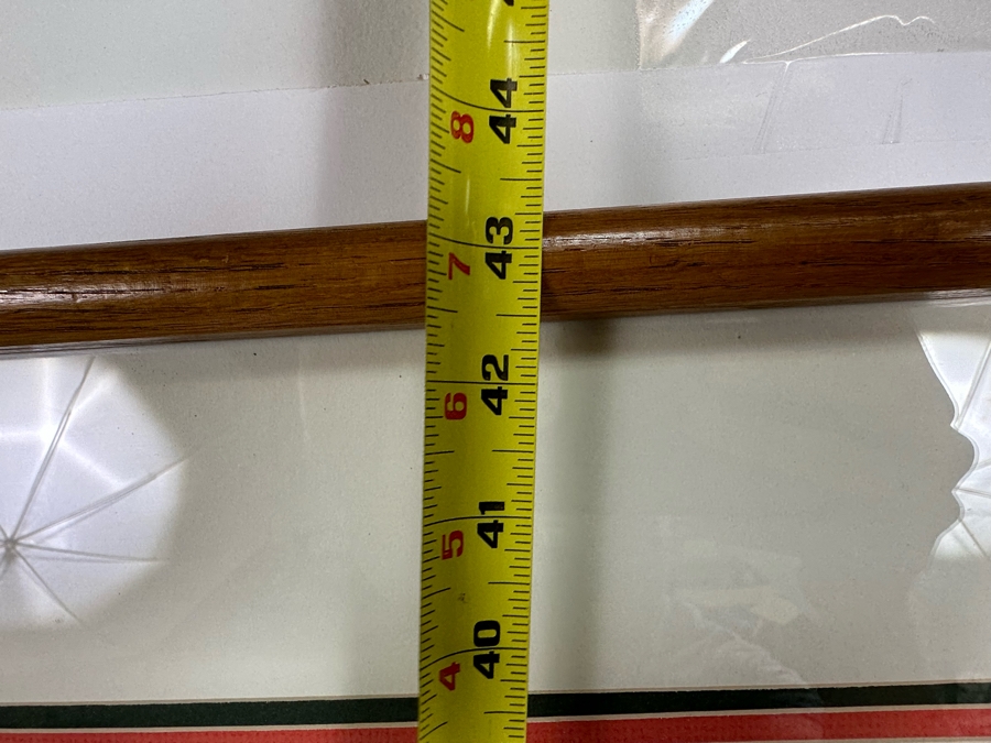 Jonna White Hand Signed Limited Edition Print Titled 'Parrots' 7 Of 500 22 X 34 Framed 31 X 43 [Photo 14]