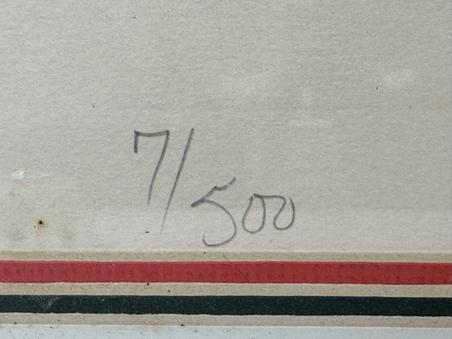 Jonna White Hand Signed Limited Edition Print Titled 'Parrots' 7 Of 500 22 X 34 Framed 31 X 43 [Photo 8]