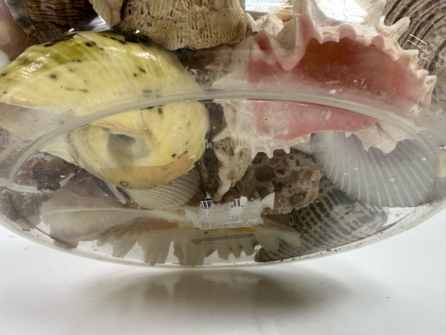 Collection Of Organic Seashells In Clear Plastic Pot [Photo 12]