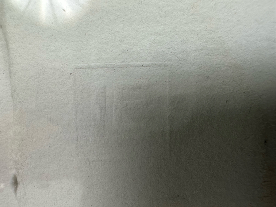 Peter Campus (b. 1947, America) A Spider Waits Archival Iris Limited Edition Print 32W X 22H Framed 38W X 28H [Photo 7]