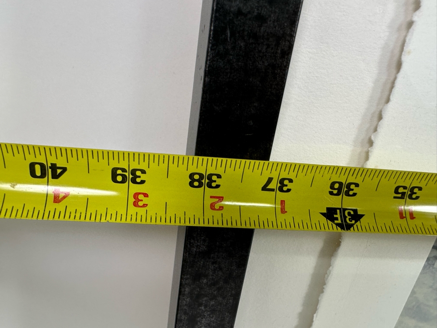 Peter Campus (b. 1947, America) A Spider Waits Archival Iris Limited Edition Print 32W X 22H Framed 38W X 28H [Photo 10]