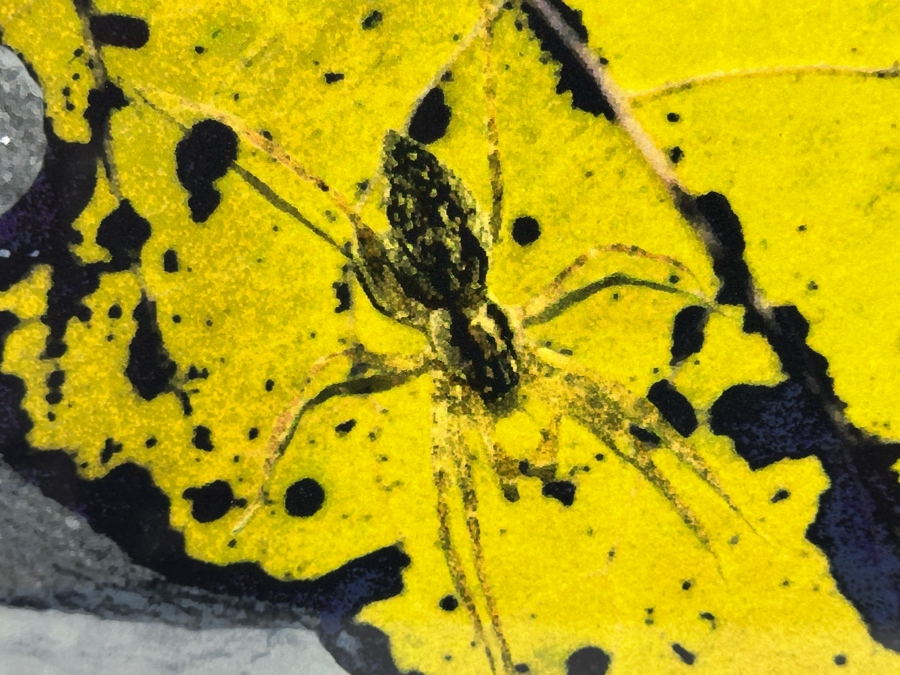 Peter Campus (b. 1947, America) A Spider Waits Archival Iris Limited Edition Print 32W X 22H Framed 38W X 28H [Photo 5]